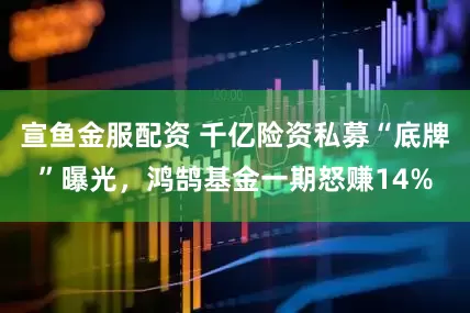 宣鱼金服配资 千亿险资私募“底牌”曝光，鸿鹄基金一期怒赚14%